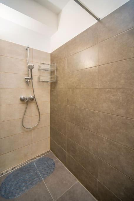 Grace Pine Apartment 1 بودابست المظهر الخارجي الصورة